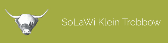Logo der Solawi - Der Kopf des schottischen Hochlandrindes
