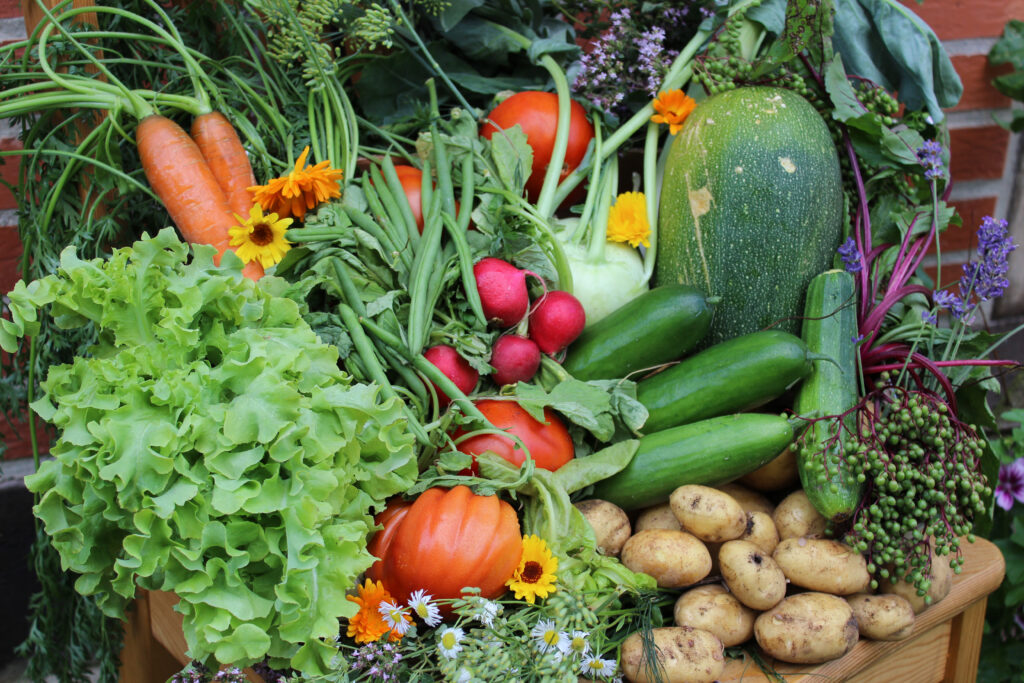 Eine bunte Gemüsemischung