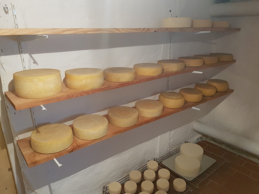 Ein Lagerraum mit Käse